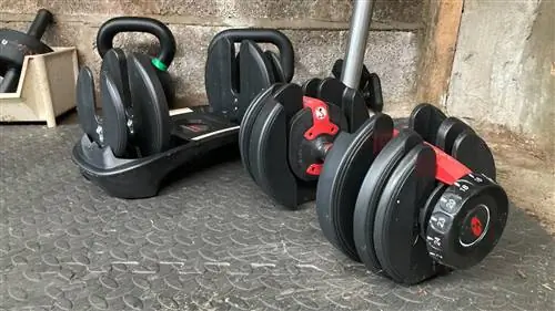 Выбранная гантель Bowflex 552i рядом с док-станцией