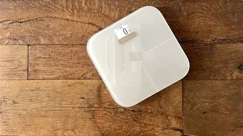 Обзор умных весов Garmin Index S2