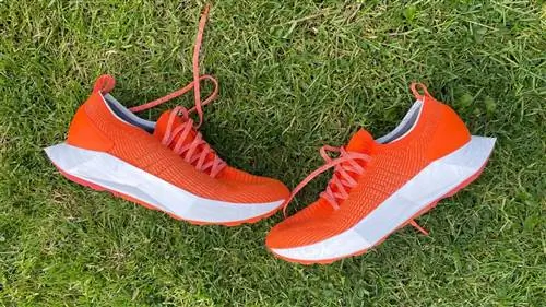 Allbirds выпускает Tree Flyer, это самые функциональные кроссовки для бега за всю историю