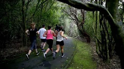 parkrun Western Springs Park 4 июля 2020 года в Окленде, Новая Зеландия