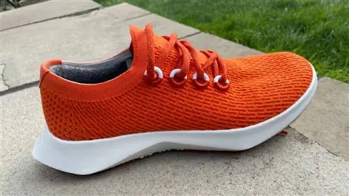 Кроссовки для бега Allbirds Tree Dasher 2