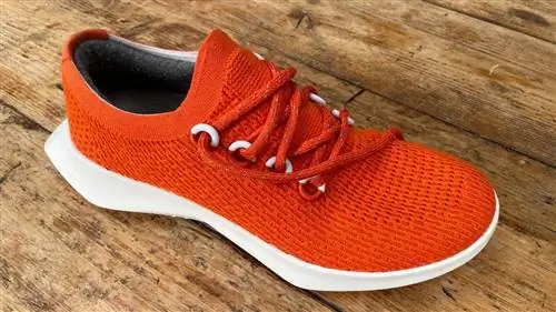 Обзор Allbirds Tree Dasher 2