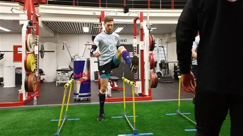 Тренировка Red Bull по регби