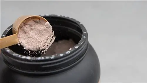 Optimum Nutrition Gold Standard 100% Whey: один из наших лучших протеиновых порошков.