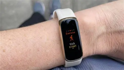 Фитбит Люкс