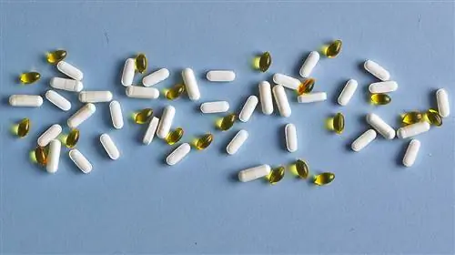 x_supplements x_supplements