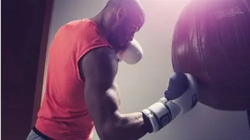 тренировки