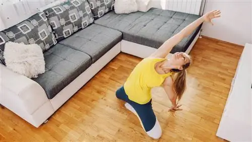 Расширение Шинбокса