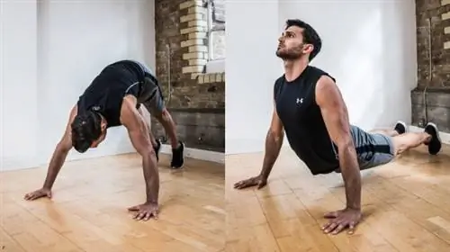 Корона вирус