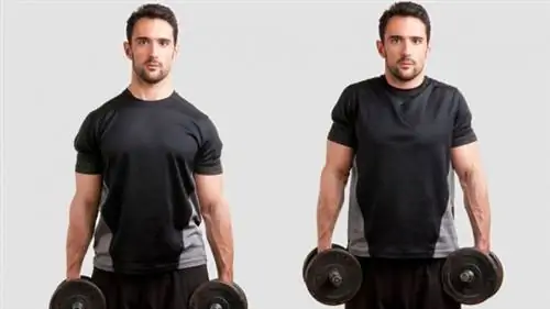 пожимание плечами с гантелями