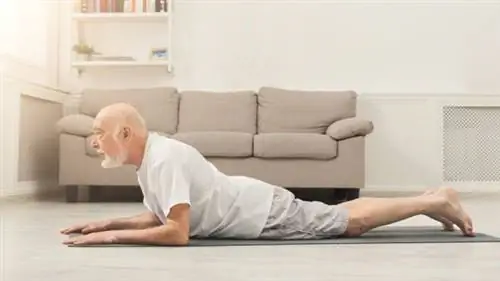 поясничное расширение