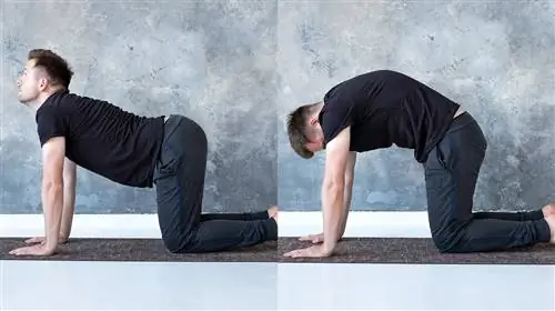 тренировка