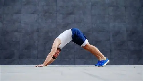 Тренировка