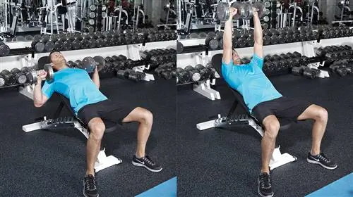 Жим гантелей на наклонной скамье