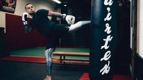 Мэтта Уиллиса разорили