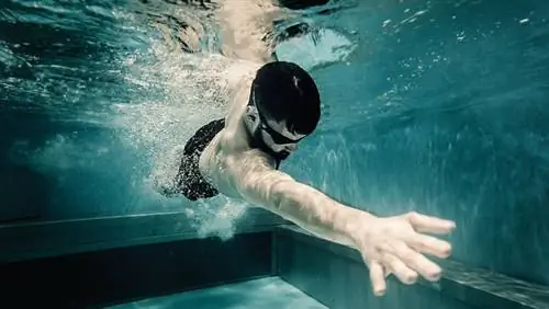 плавание с полным погружением