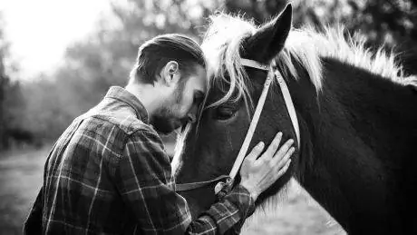 Борьба с депрессией необычным оружием