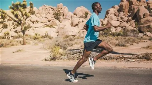 Обзор Saucony Endorphin Speed 2