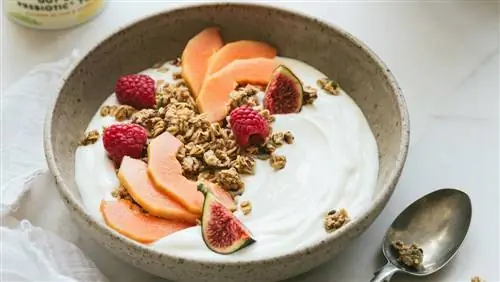 Доктор по здоровью кишечника объясняет пребиотики