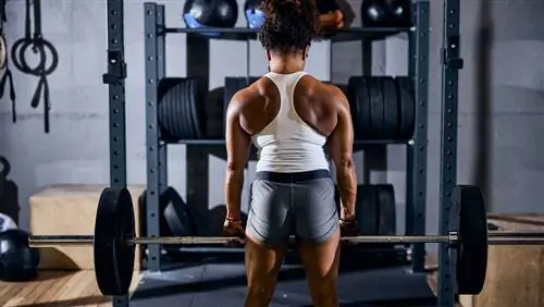 тренировка становой тяги