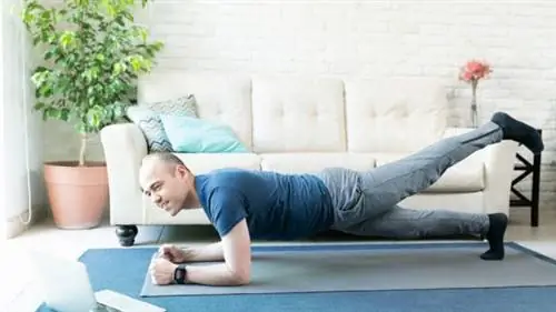 тренировки