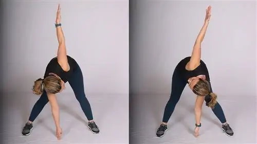 Ветряная мельница