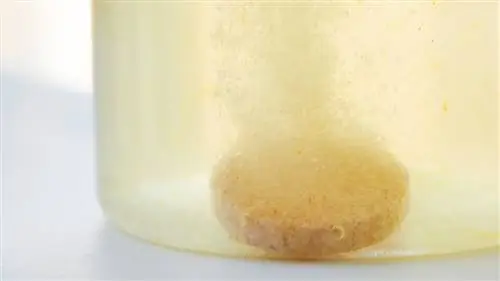 шипение в воде