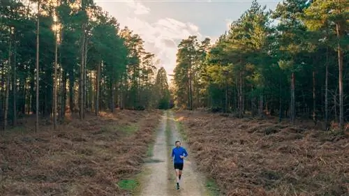 Человек бежит по дорожке в лесу