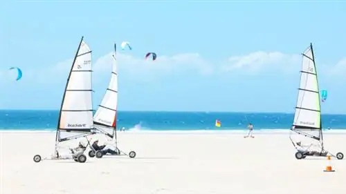 Блокарт-Джерси