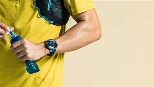 Корос Вертикс