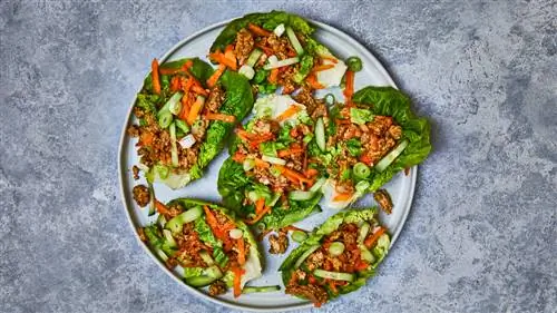 Gousto Joe Wicks Lean в 15 чашках салата из индейки Speedy Hoisin