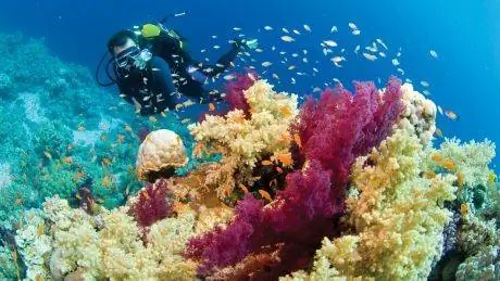 50 лучших фитнес-отпусков