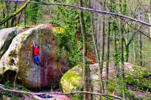 сделай что-нибудь