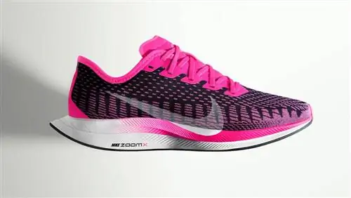 Обзор беговых кроссовок Nike Pegasus Turbo 2