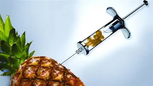 игла ананаса