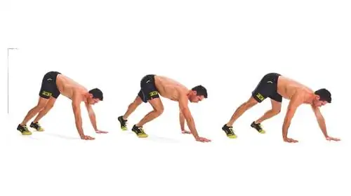 Медвежий ползание