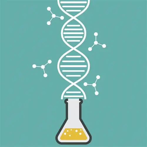 Тестирование ДНК