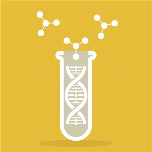 Тестирование ДНК