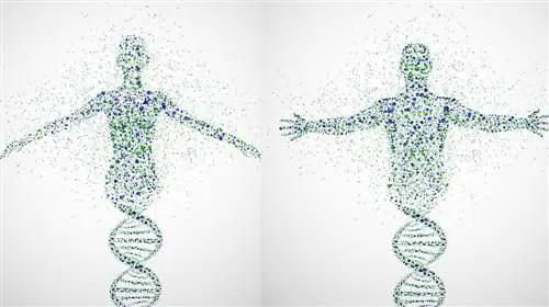 Может ли ДНК-тестирование раскрыть ваш фитнес-потенциал?