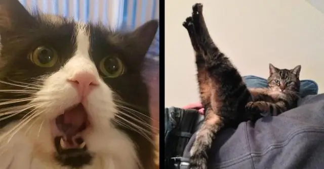 Что такое танец хака и что он означает?