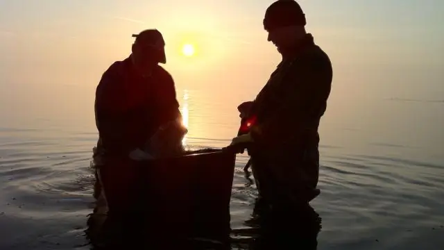 Где в Калифорнии я могу ловить сталхеда?