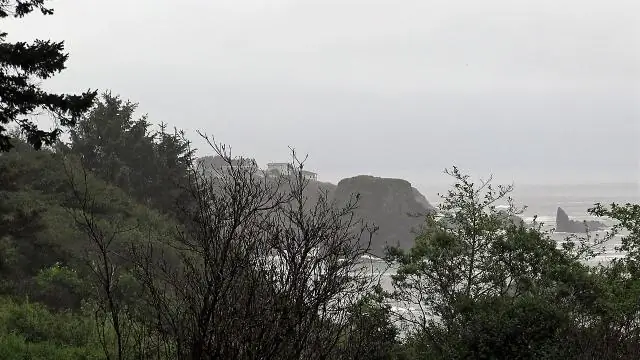 Сколько бритвенных моллюсков можно держать в Орегоне?