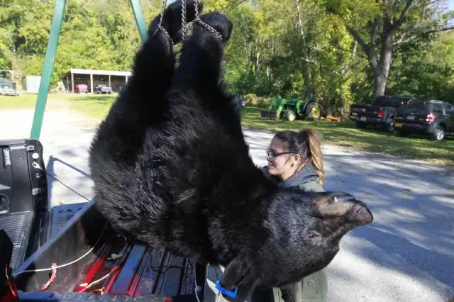 Разрешена ли охота по воскресеньям в Нью-Джерси?