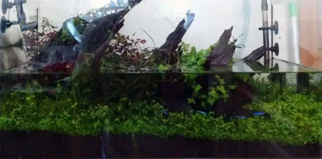 Сколько хлора я должен добавить в 8-футовый бассейн?