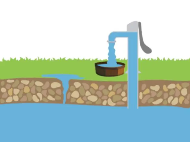 Как круговорот воды связан с круговоротом азота?