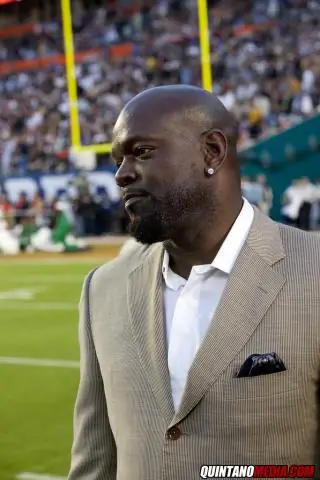 Сколько приземлений у Эммитта Смита?