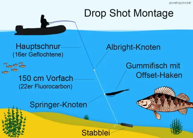 Как лучше всего поймать ночных змей?