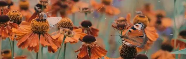 Какие лекарства вызывают гинекомастию?