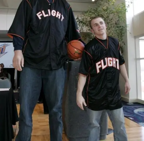 Насколько велик баскетбольный мяч 6-го размера?