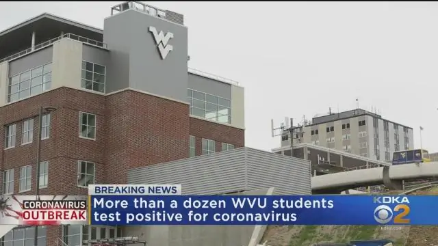 Какой раздел является студенческим в WVU?